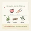 Công dụng Sữa rửa mặt Skinfood Egg Cleansing Foam