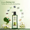 Thành phần Dầu gội dược liệu Nguyên Xuân hương Bưởi 400g