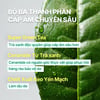 Thành phần Kem dưỡng ẩm phục hồi INNISFREE Green Tea Ceramide Cream 50ml