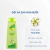 Dầu gội xả 2in1 hoa bưởi Thorakao