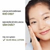 Sữa dưỡng ẩm INNISFREE Olive Vitamin E Real Lotion 170ml dành cho ai