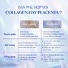 Nước uống 82X Placenta Classic phù hợp với