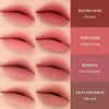 Bảng màu Son thỏi 3CE Blur Matte Lipstick