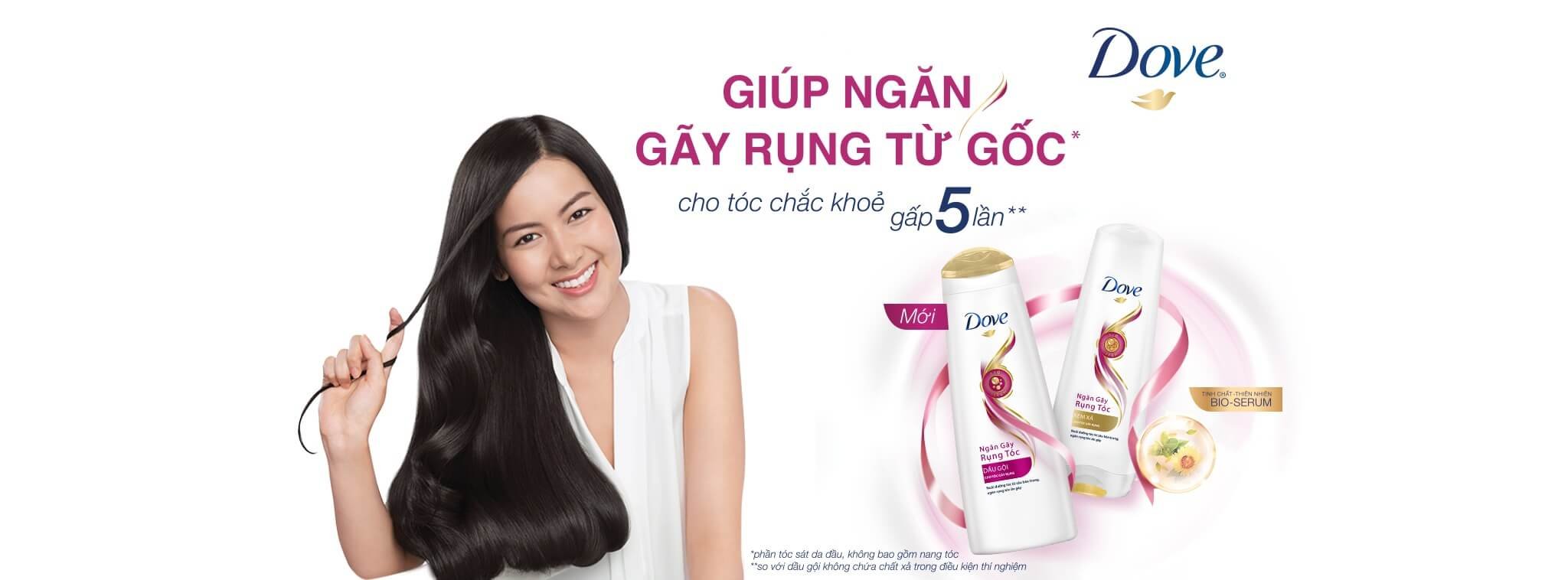 BANNER DOVE