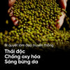 Mặt nạ đất sét Beplain Mung Bean Pore Clay Mask thải độc chống oxi hóa