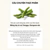 Câu chuyện thực phẩm Skinfood Asparagus Glutathione Pad