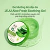 Gel dưỡng The Face Shop Jeju Aloe 300ml dưỡng ẩm dịu da