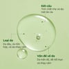 Kết cấu Serum làm dịu phục hồi da Torriden BALANCEFUL serum