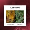 Hương cuối Nước hoa Lilith and Eve Forbidden Fruit Eau de Perfum