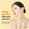 Kem dưỡng sáng da d’Alba Vita Toning Capsule Cream 55g chống lão hóa hiệu quả