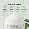 Công dụng Kem dưỡng phục hồi Neogen Dermalogy Real Heartleaf Soothing Cream 80g