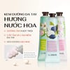 Công dụng Kem dưỡng da tay THE SAEM Perfumed Hand Cream 30ml