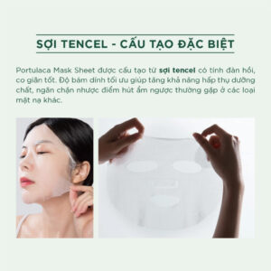 Cấu tạo mặt nạ Caryophy Portulaca Mask Sheet