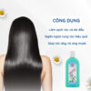 Công dụng dầu gội hoa bưởi Thorakao