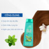 công dụng Gội Xả Chanh Sả Bạc Hà Thorakao 2in1