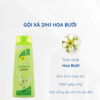 Dầu gội xả 2in1 hoa bưởi Thorakao