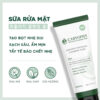 Sữa rửa mặt Caryophy Portulaca Cleansing Foam