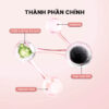 Thành phần chính Cosrx Poreless Clarifying Charcoal Mask