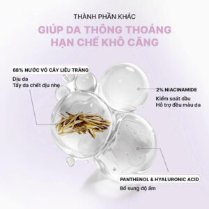 Thành phần khác Cosrx BHA Blackhead Power Liquid