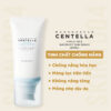 Tinh chất chống nắng Skin1004